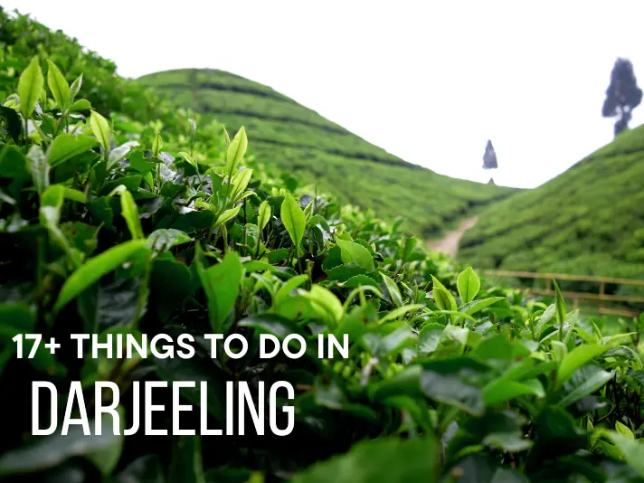 17+ Things to Do in Darjeeling – Tea, Trains & Hidden Trails